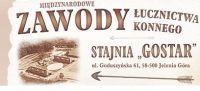 Międzynarodowe Zawody Łucznictwa Konnego - wstęp wolny!