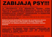 Zabijają psy? Jeleniogórski Wolnotariat dla Zwierząt prosi o informacje